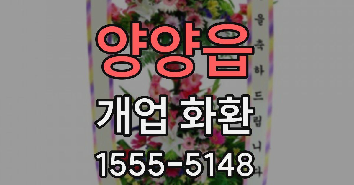 양양읍 개업 화환