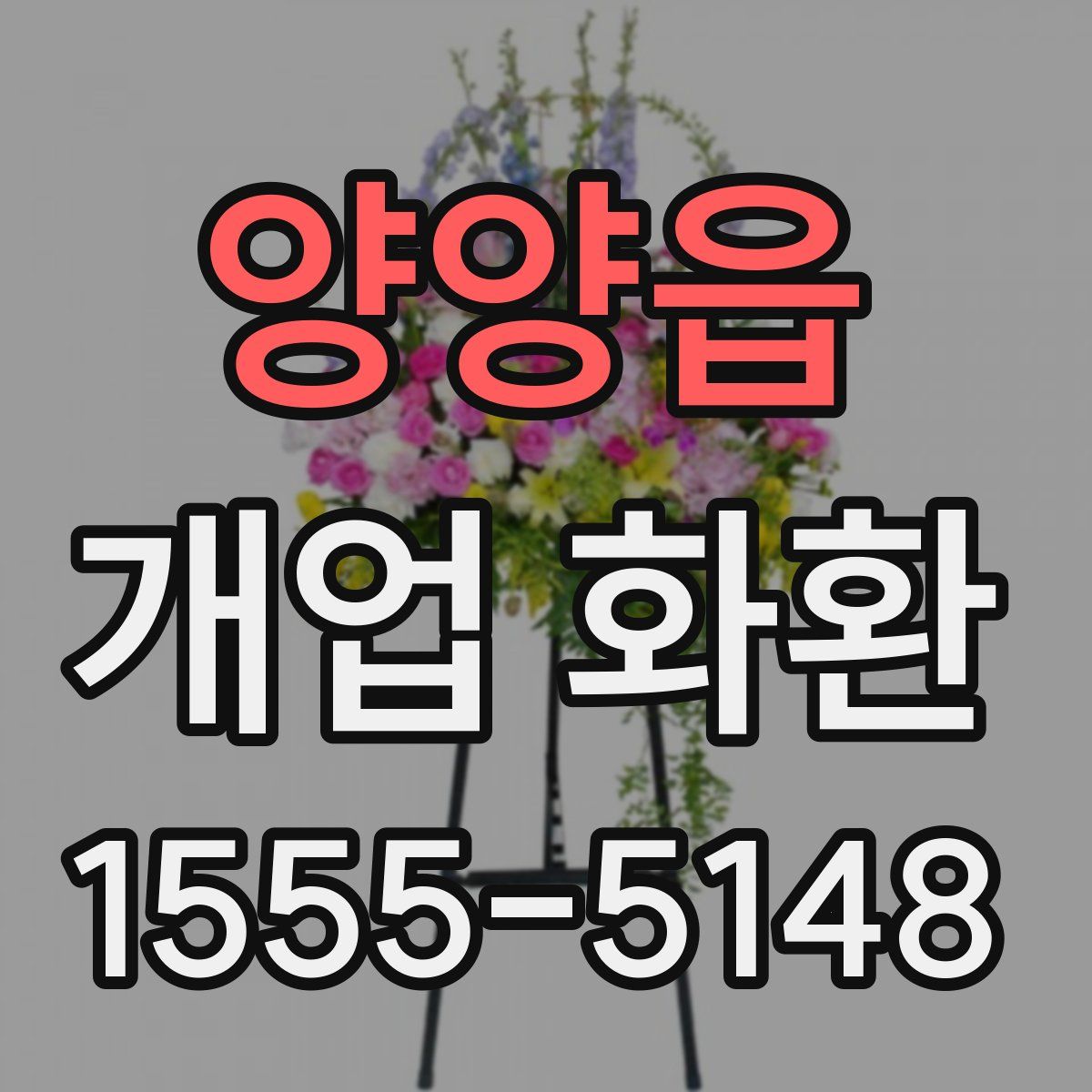 양양읍 개업 화환