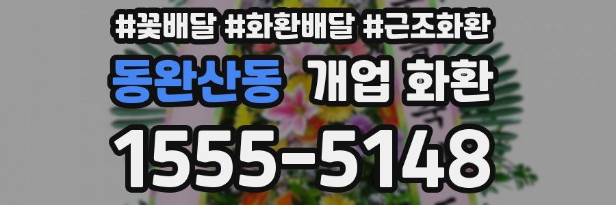 동완산동 개업 화환