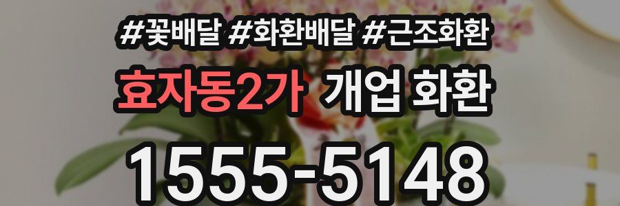 효자동2가 개업 화환