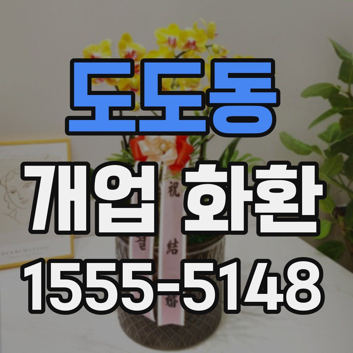 도도동 개업 화환