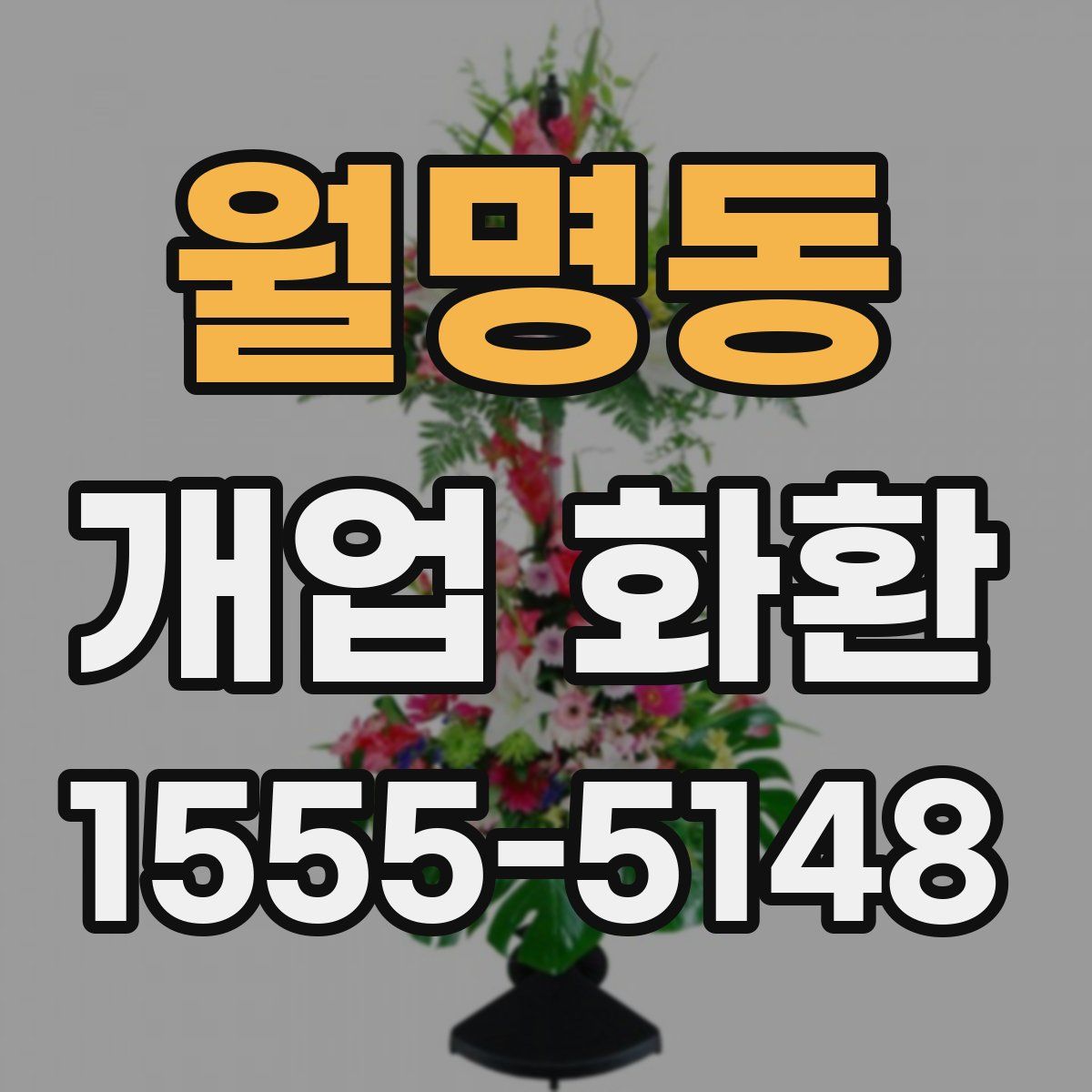 월명동 개업 화환