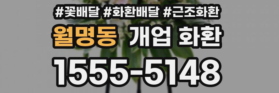 월명동 개업 화환