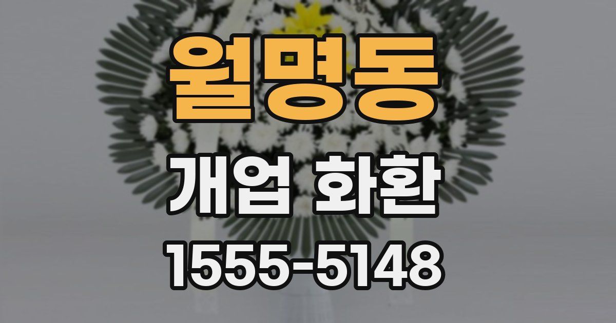 월명동 개업 화환