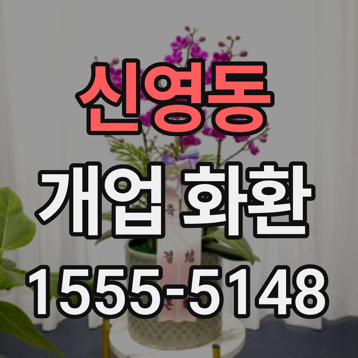 신영동 개업 화환
