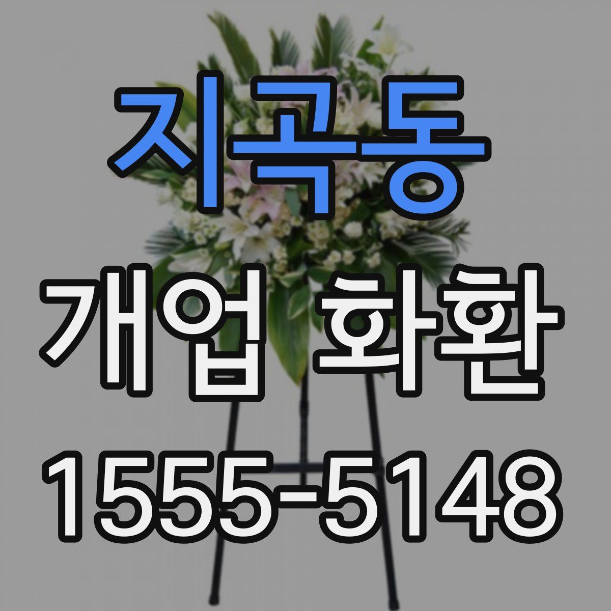 지곡동 개업 화환
