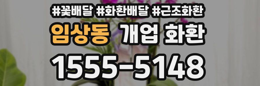 임상동 개업 화환