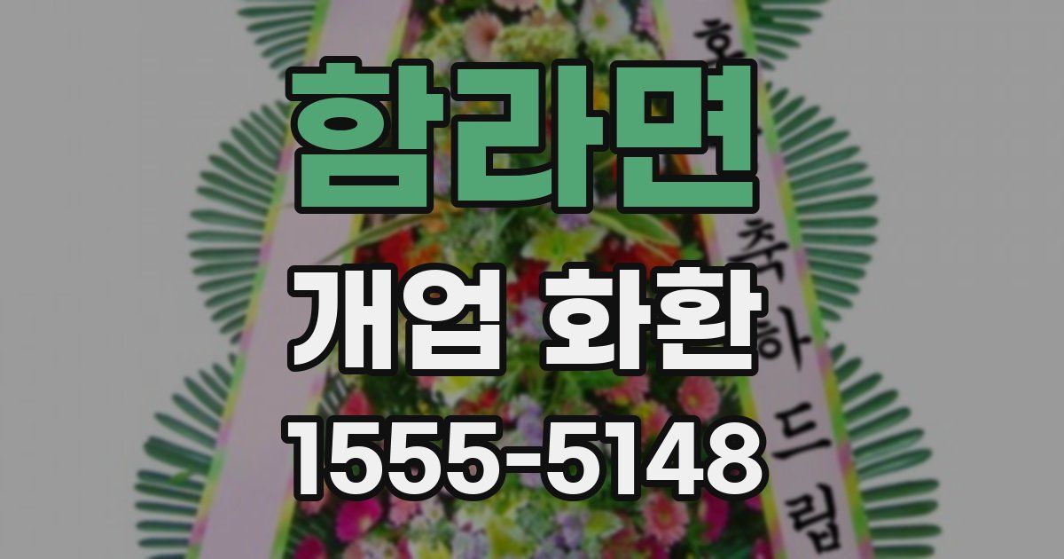 함라면 개업 화환