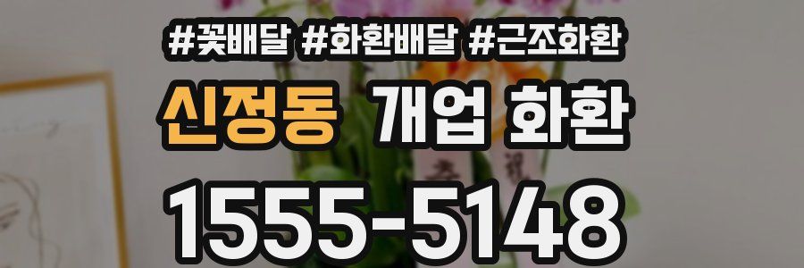 신정동 개업 화환
