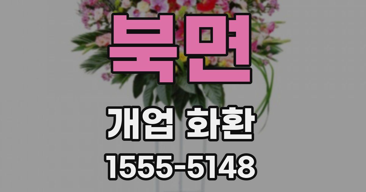 북면 개업 화환