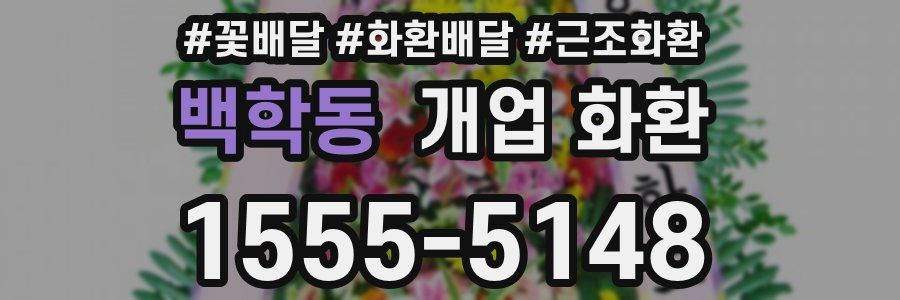 백학동 개업 화환