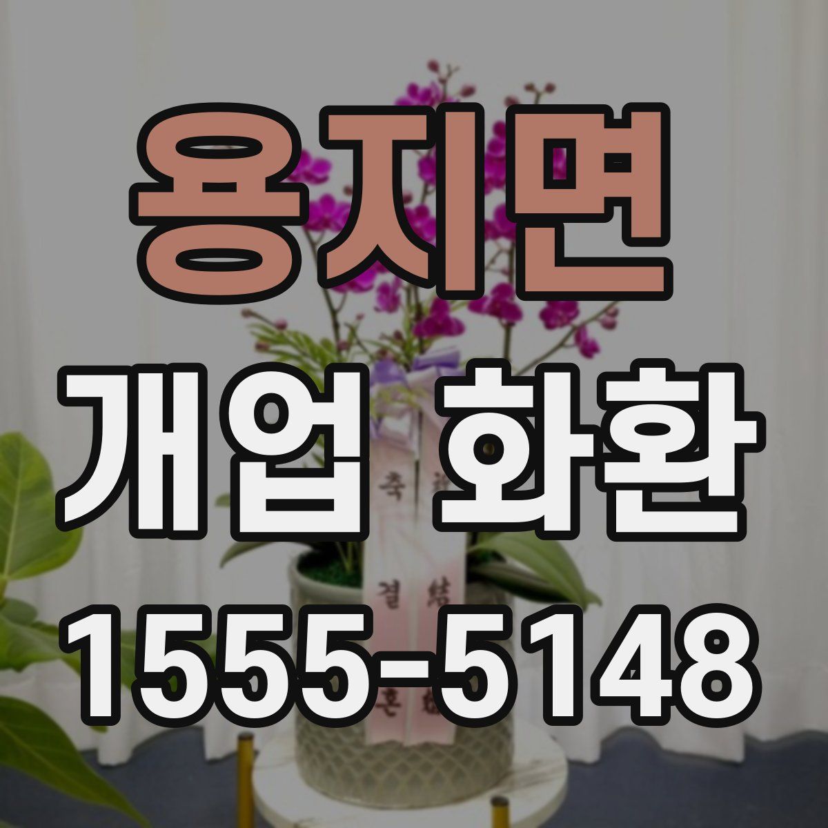 용지면 개업 화환