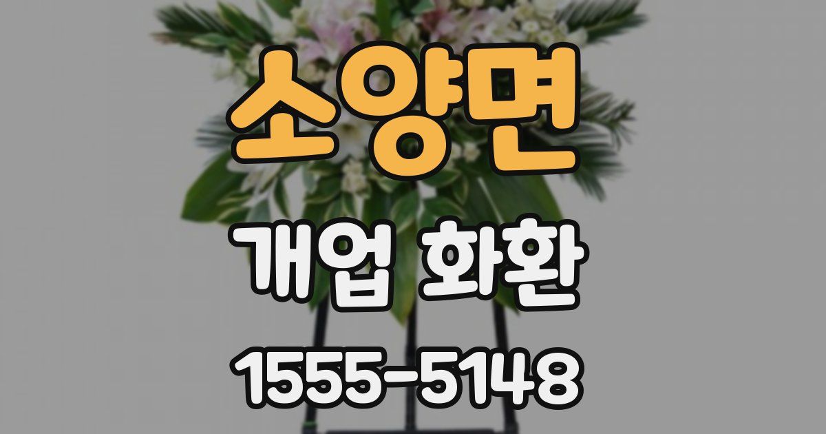 소양면 개업 화환