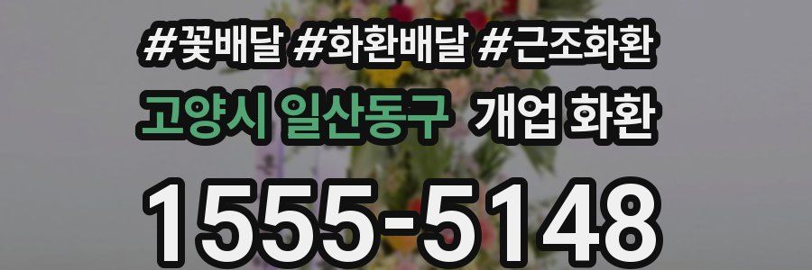 고양시 일산동구 개업 화환