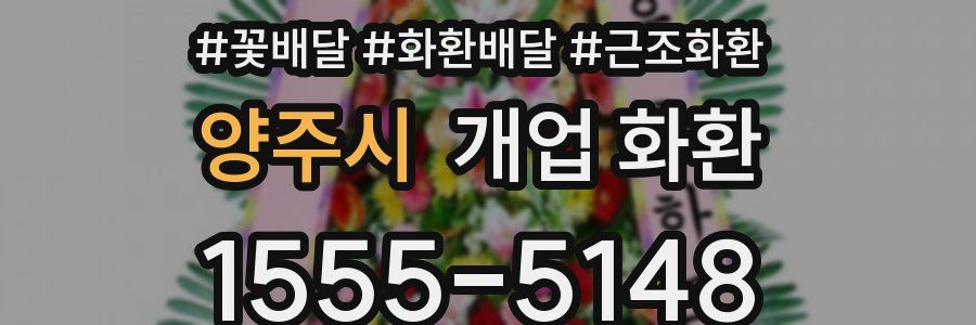 양주시 개업 화환
