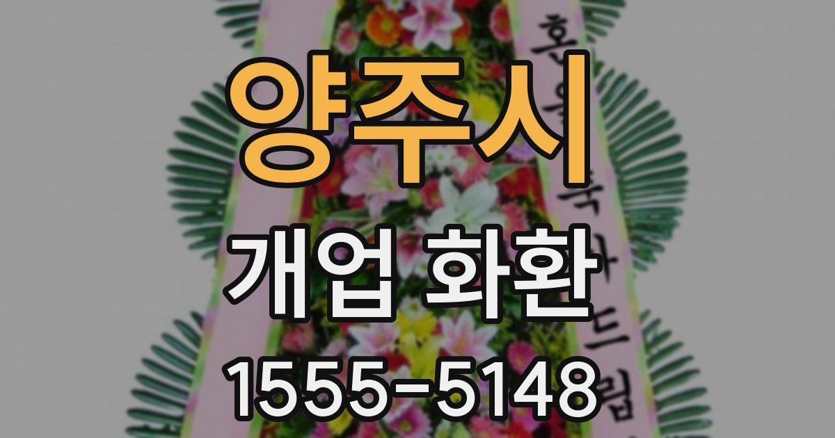 양주시 개업 화환
