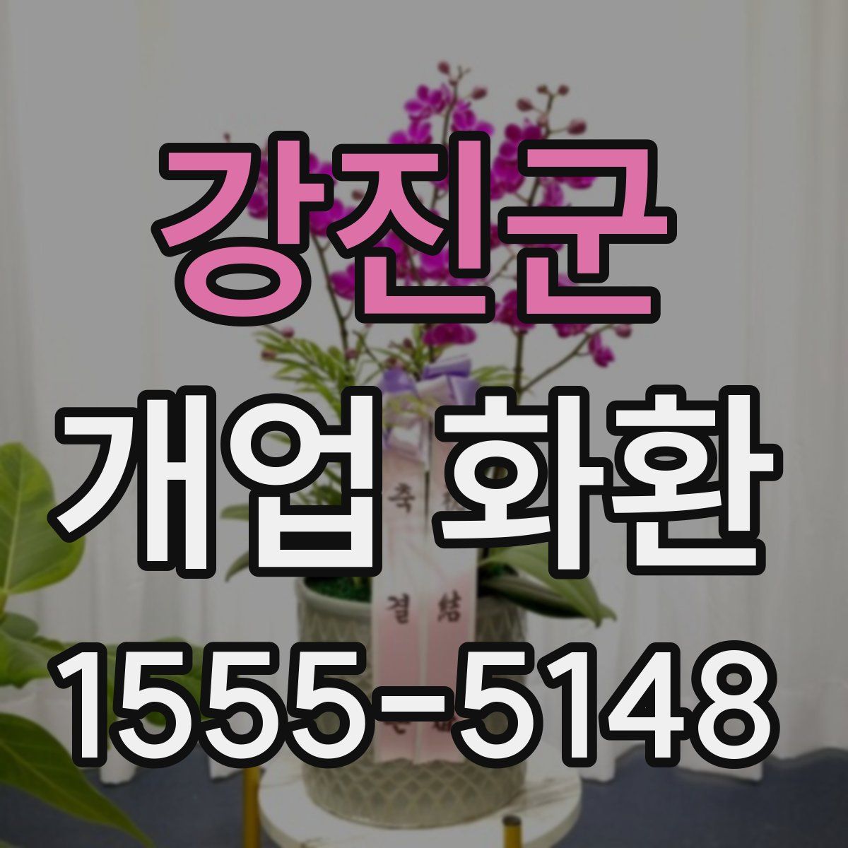 강진군 개업 화환