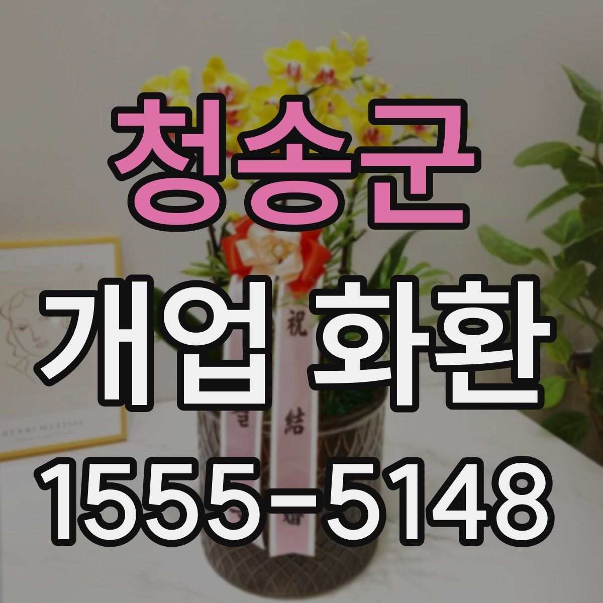 청송군 개업 화환