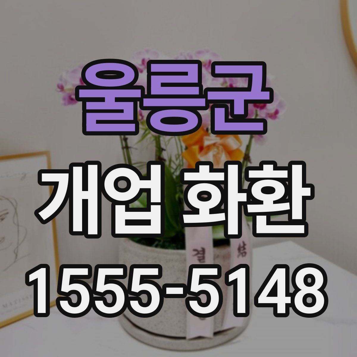 울릉군 개업 화환