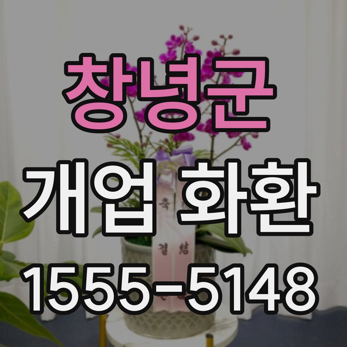 창녕군 개업 화환