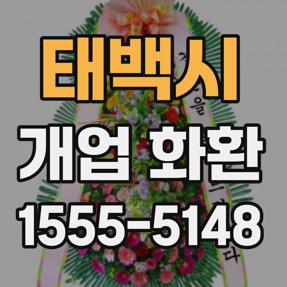 태백시 개업 화환
