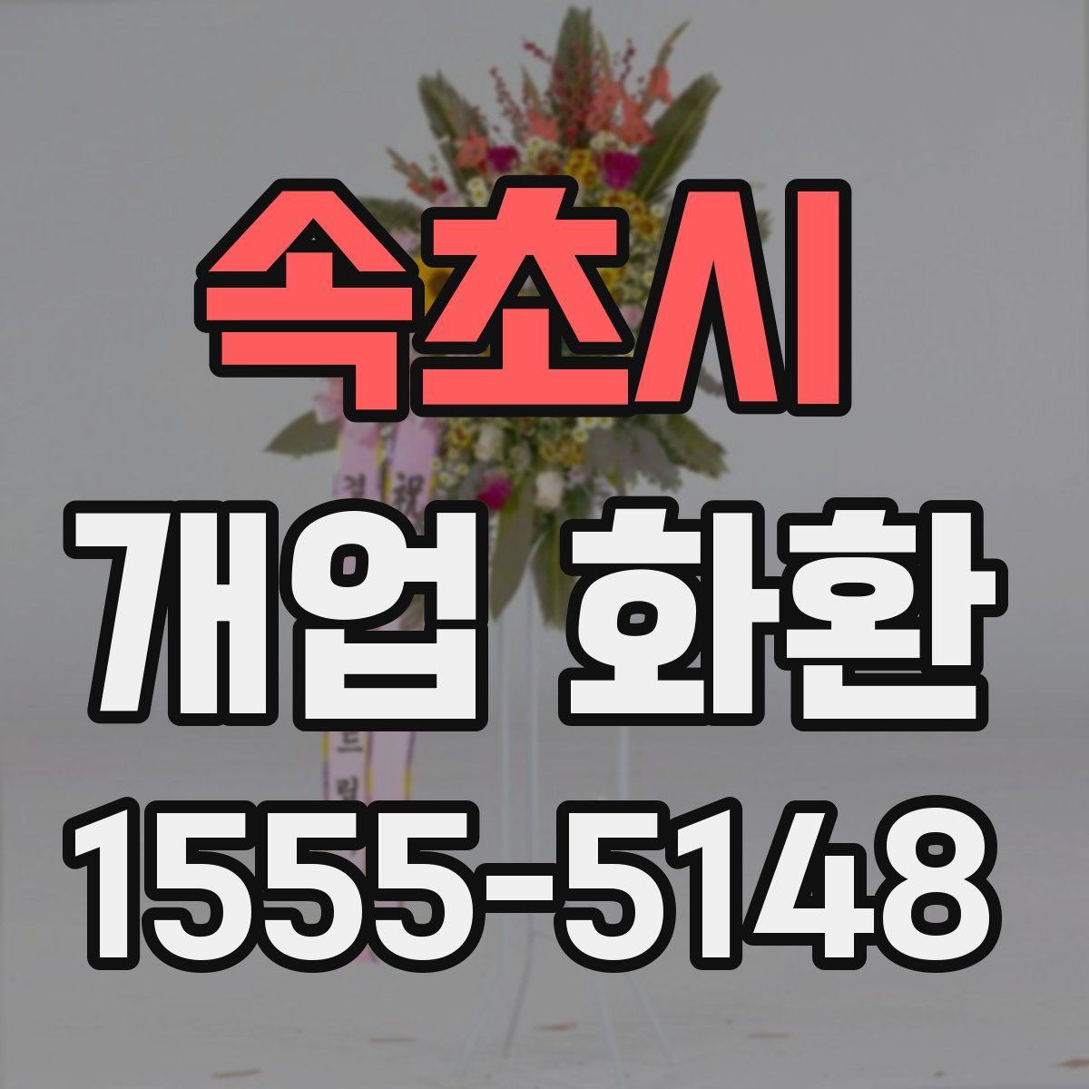속초시 개업 화환