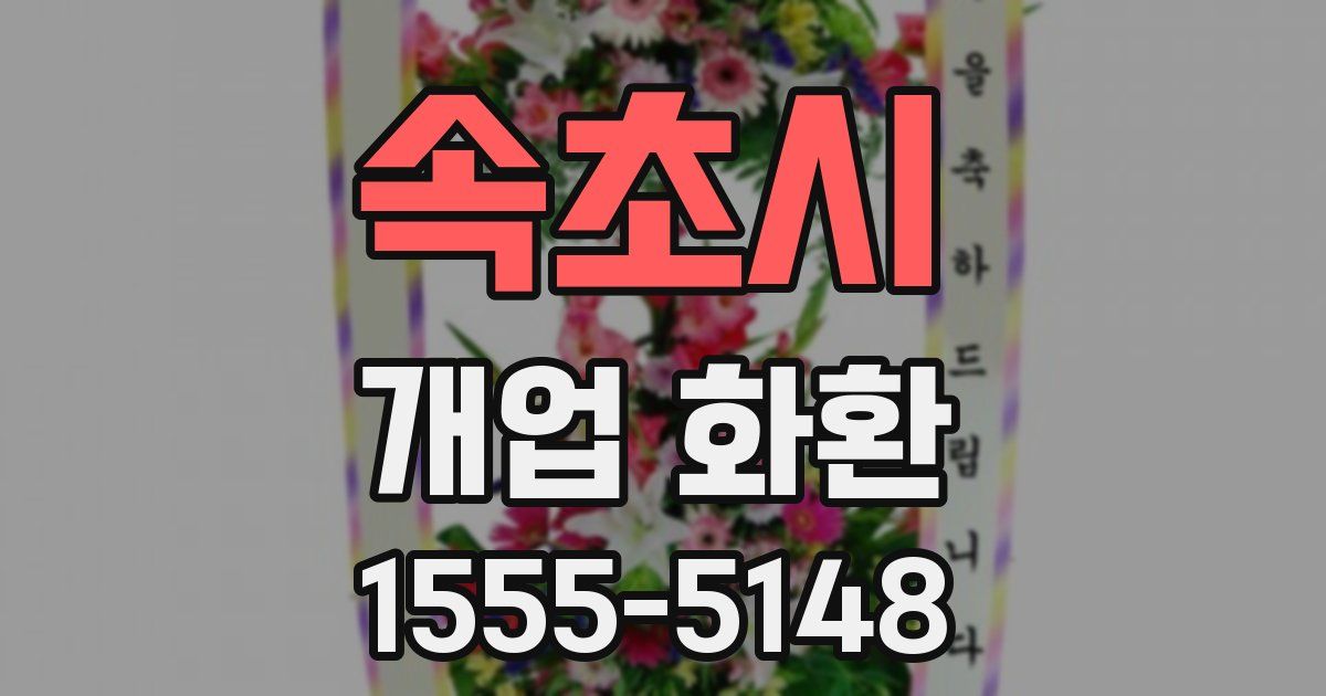속초시 개업 화환