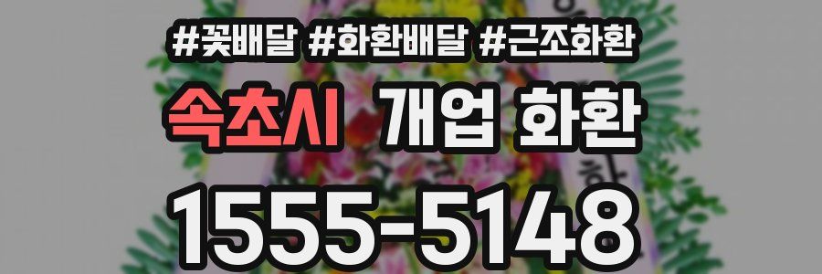 속초시 개업 화환