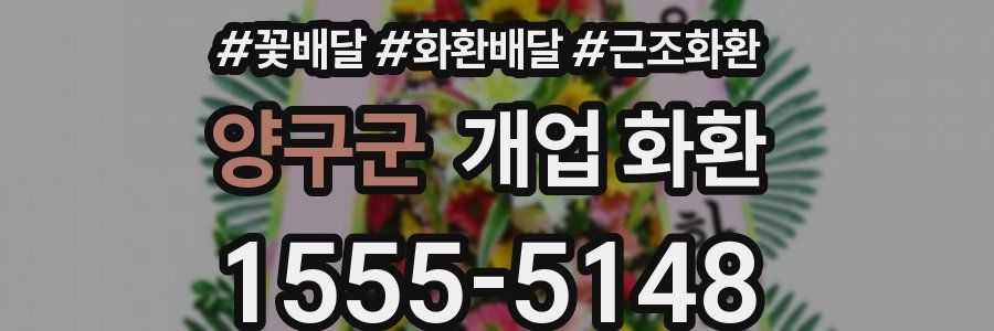양구군 개업 화환
