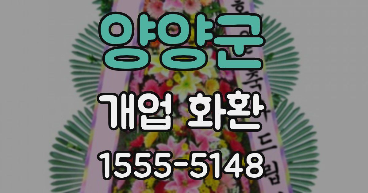 양양군 개업 화환