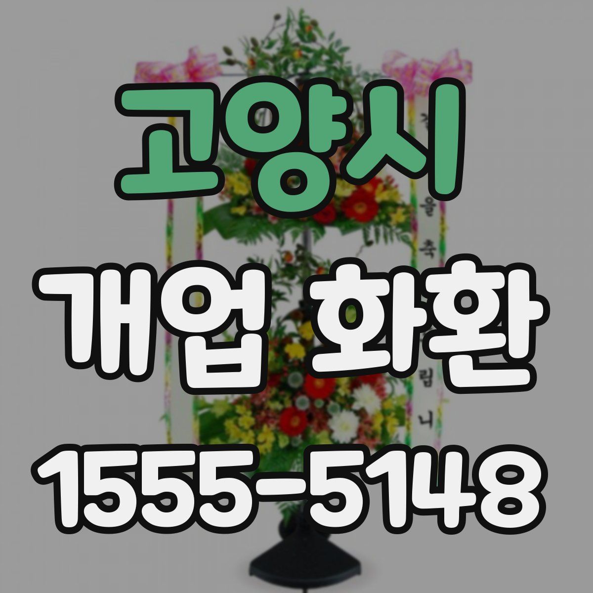 고양시 개업 화환