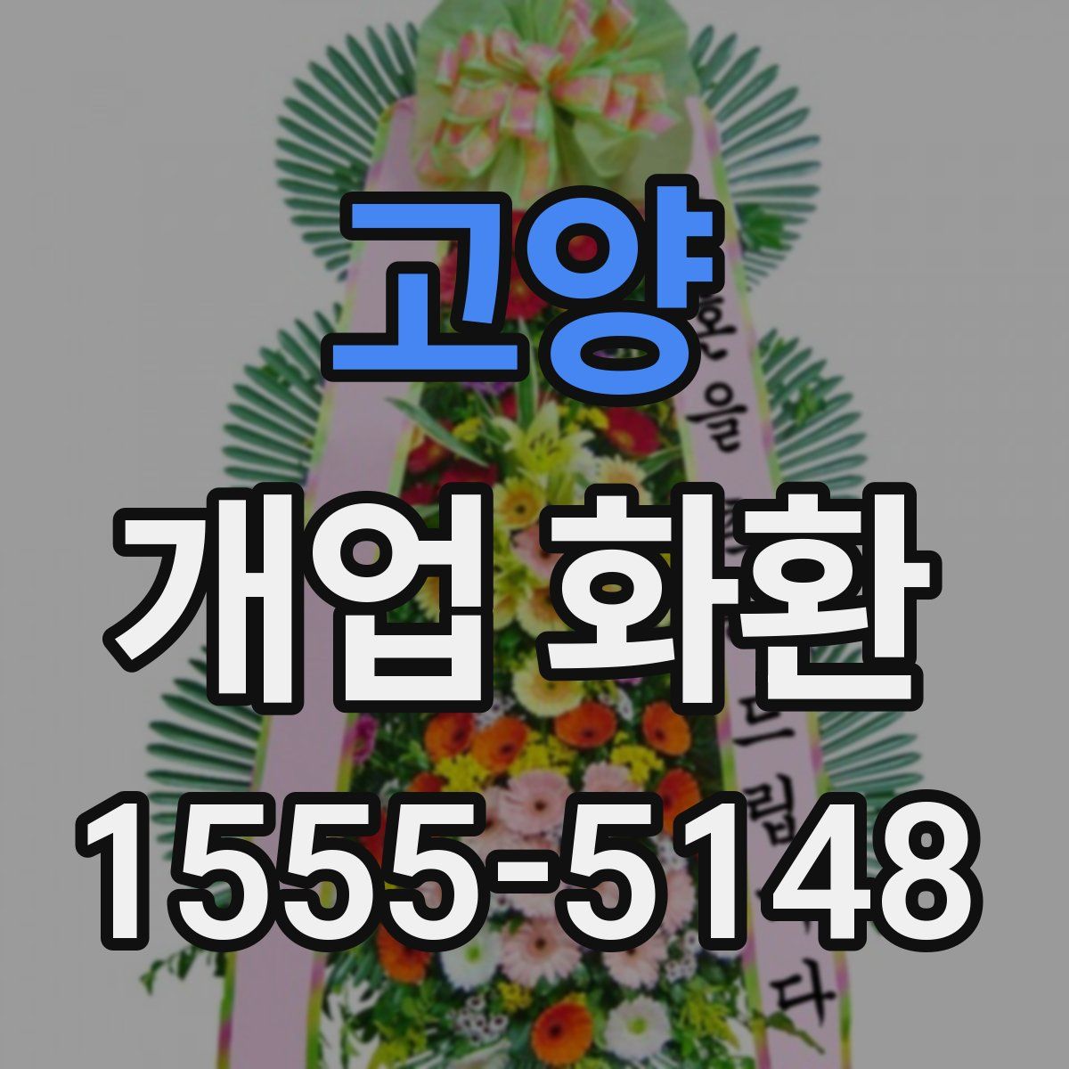 고양 개업 화환