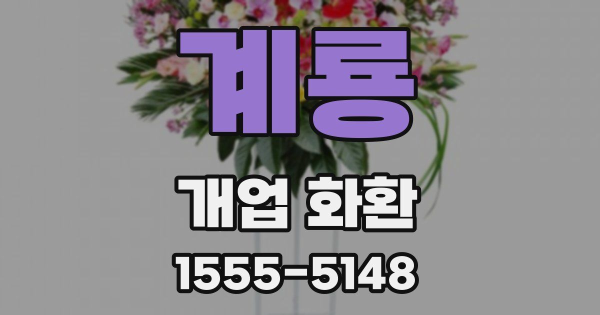 계룡 개업 화환