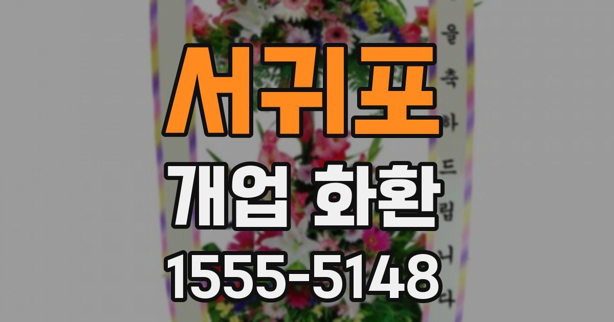 서귀포 개업 화환