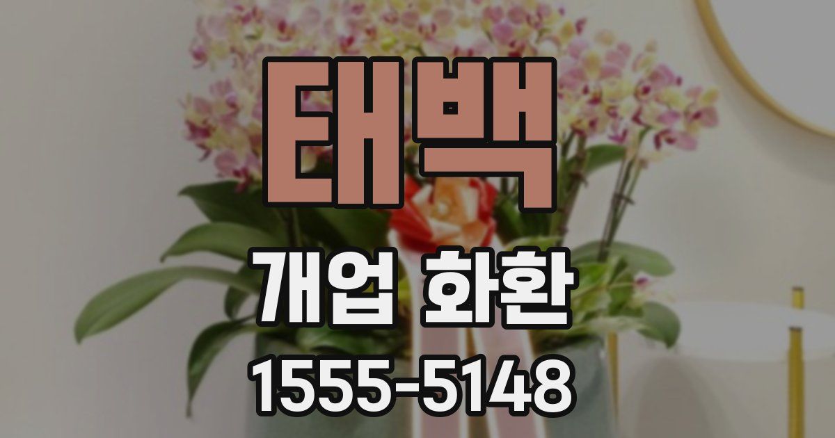 태백 개업 화환
