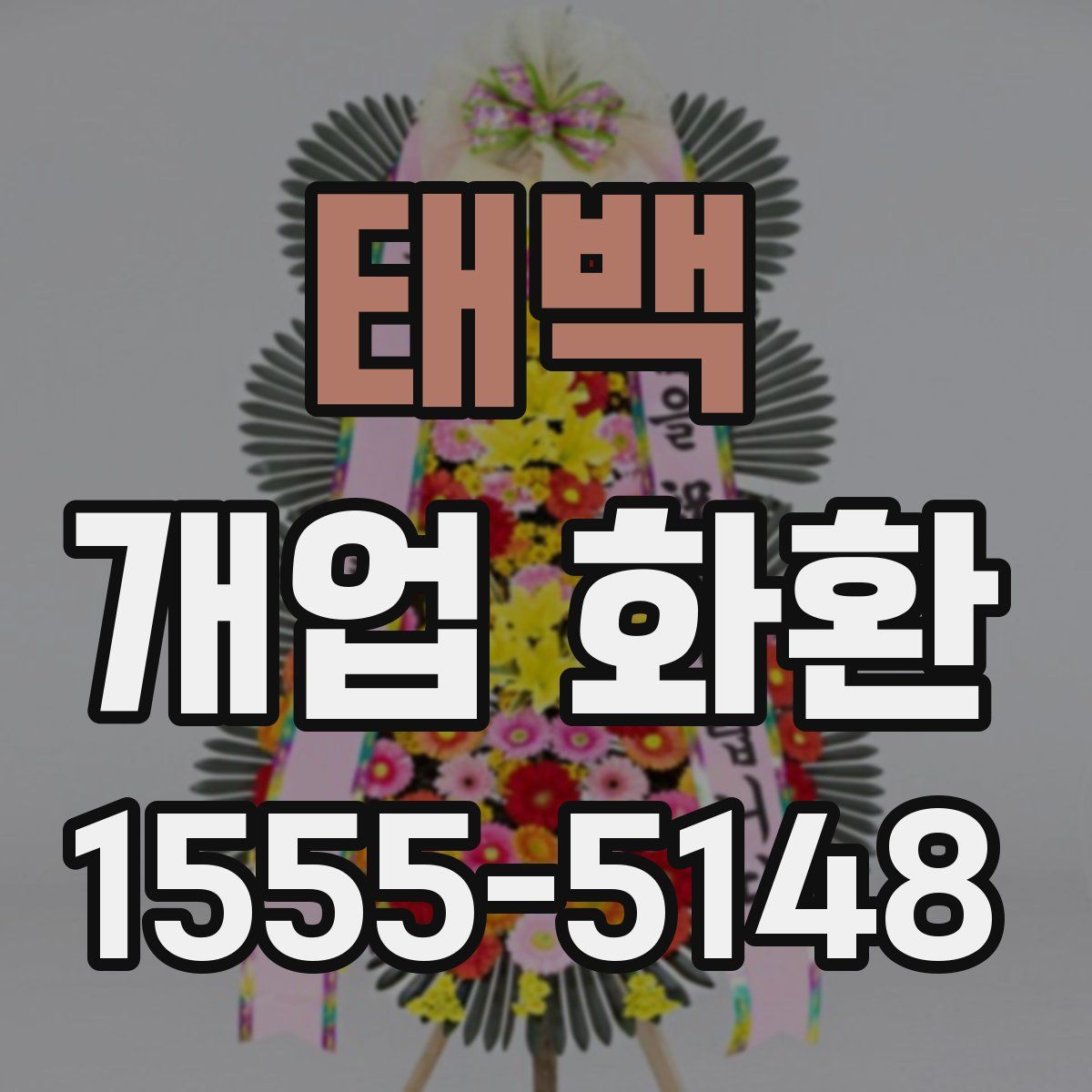 태백 개업 화환