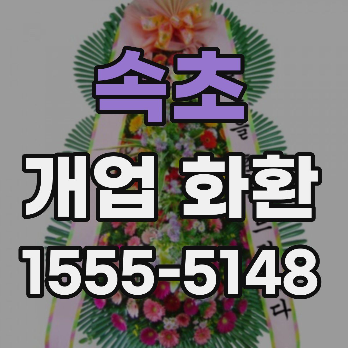속초 개업 화환