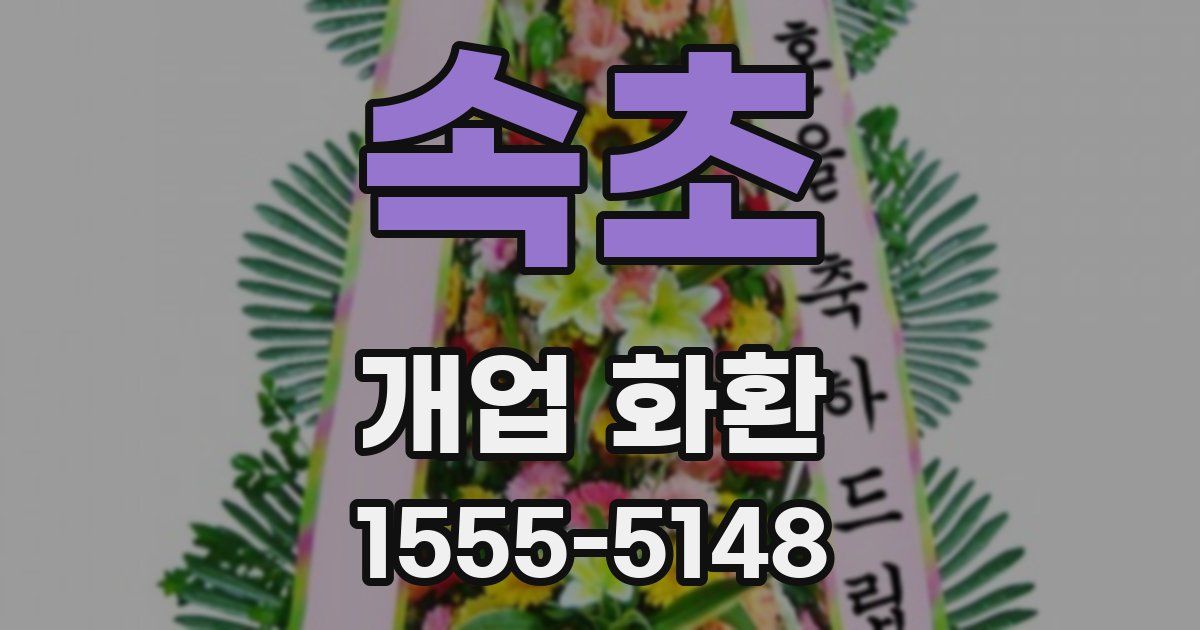 속초 개업 화환