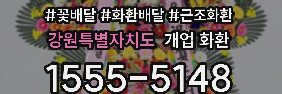 강원특별자치도 개업 화환
