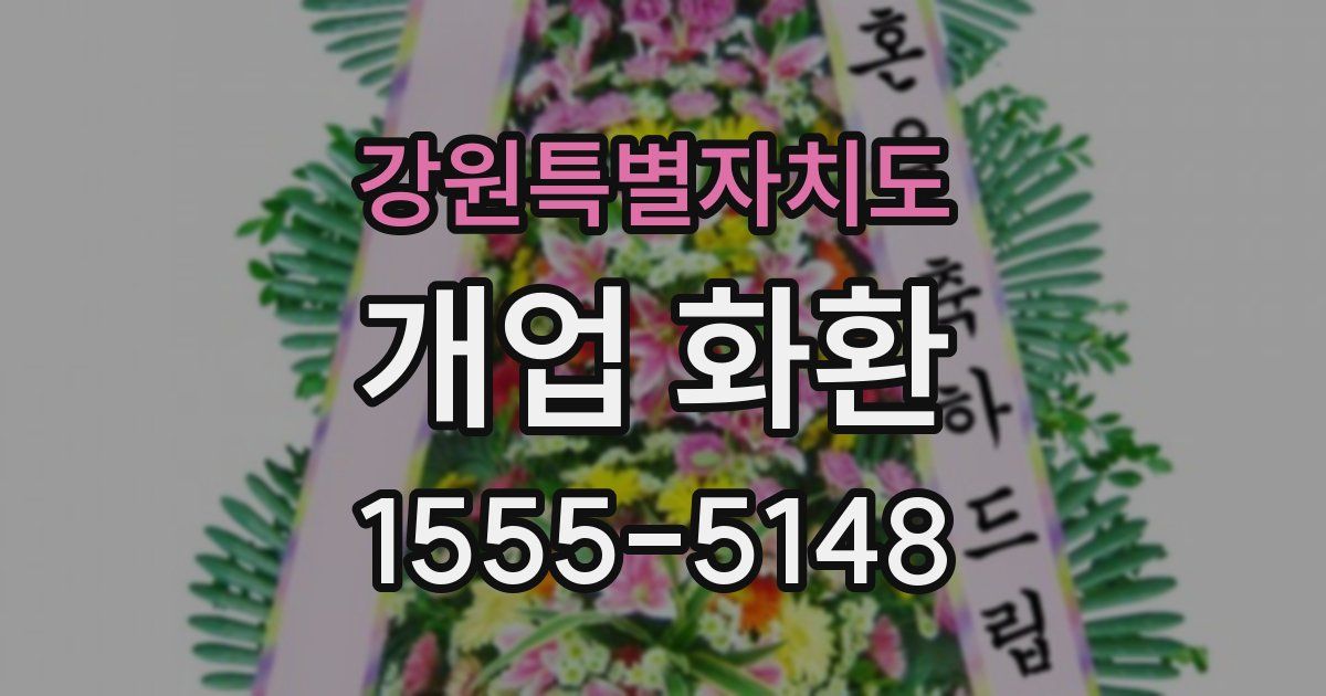 강원특별자치도 개업 화환