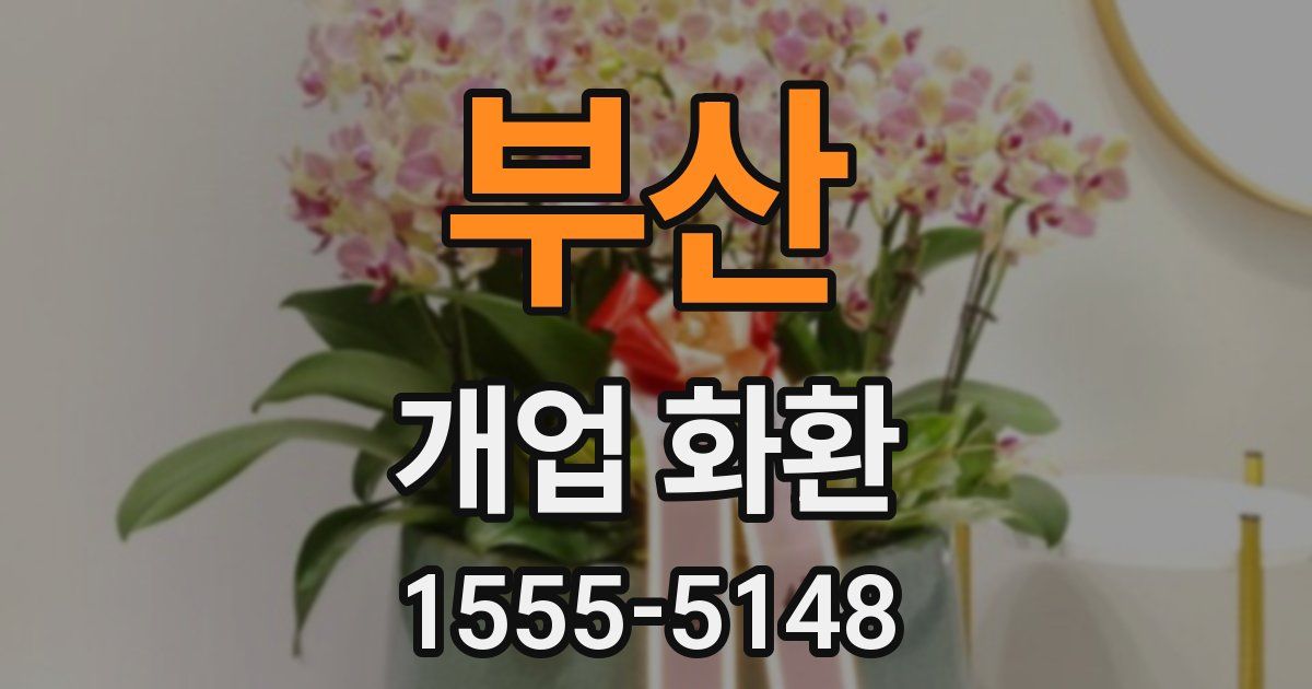 부산 개업 화환
