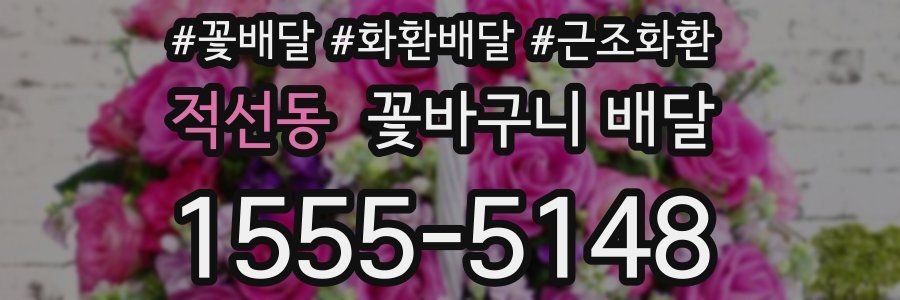 적선동 꽃바구니 배달