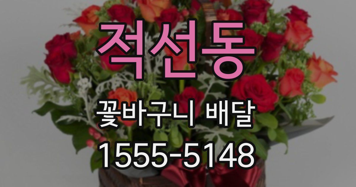적선동 꽃바구니 배달