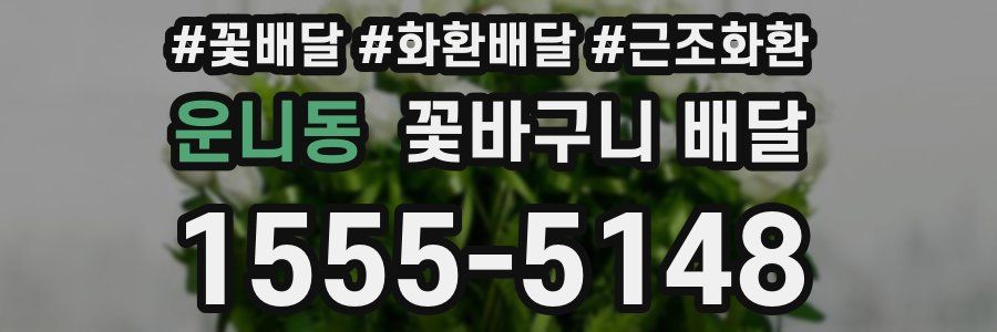 운니동 꽃바구니 배달
