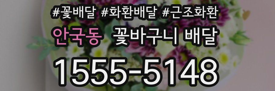안국동 꽃바구니 배달
