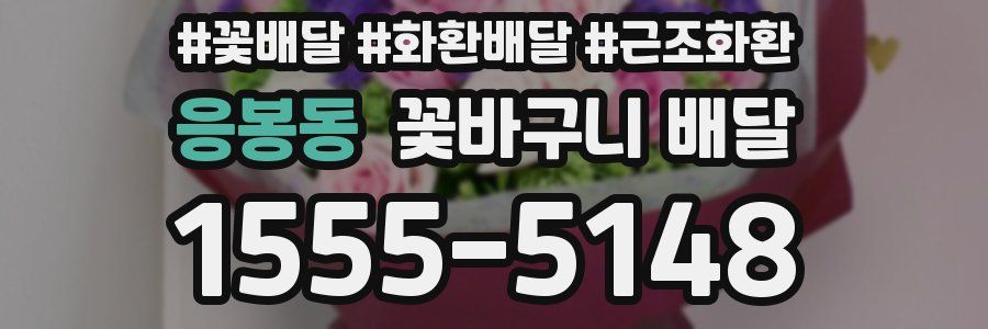 응봉동 꽃바구니 배달
