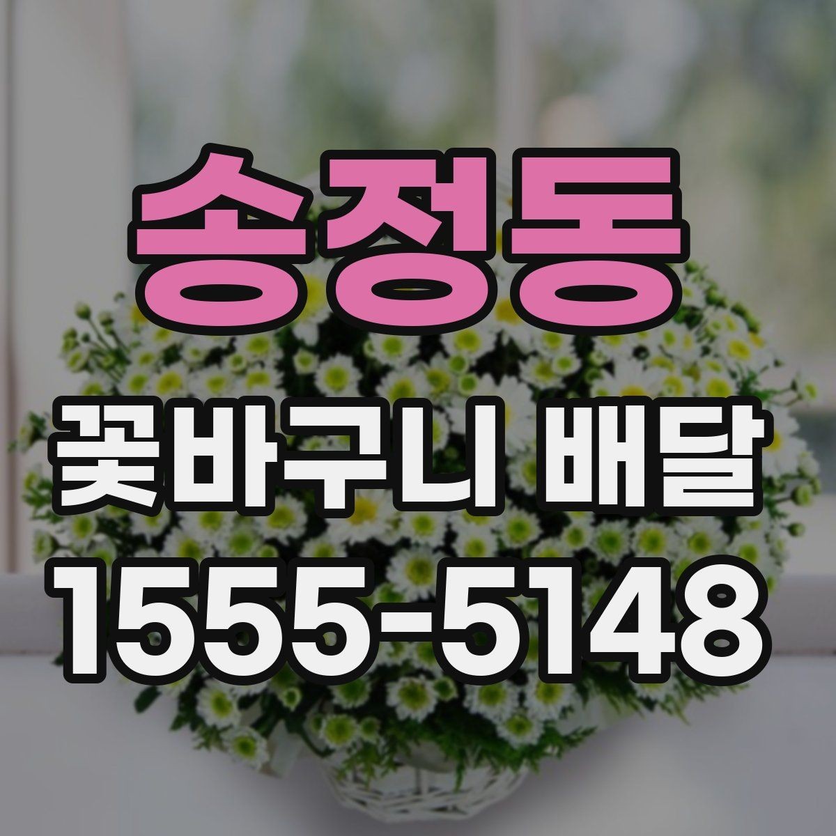 송정동 꽃바구니 배달 상황별로 달라지는 주문 팁
