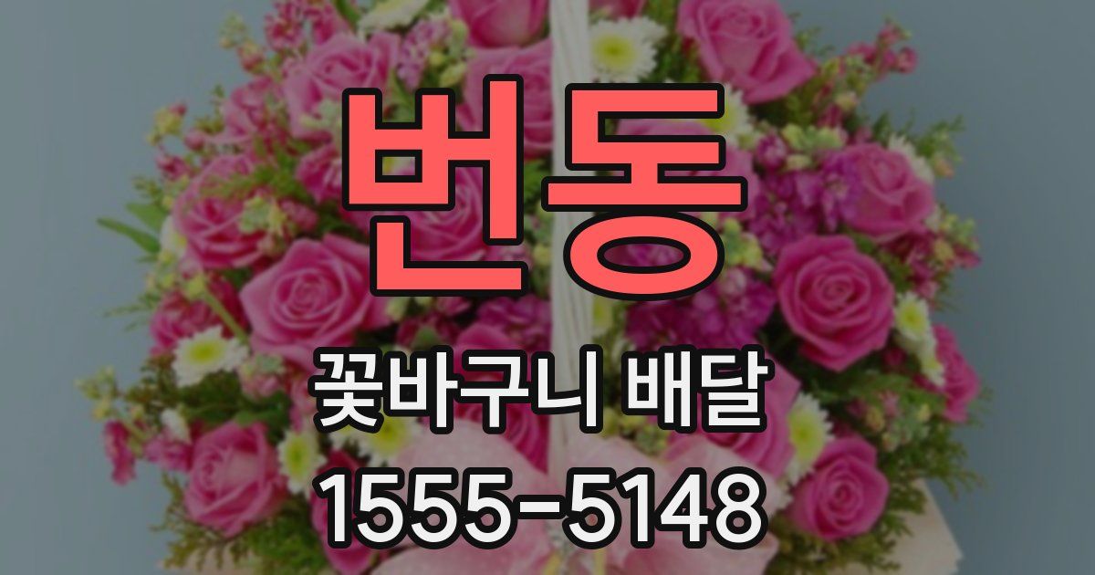 번동 꽃바구니 배달