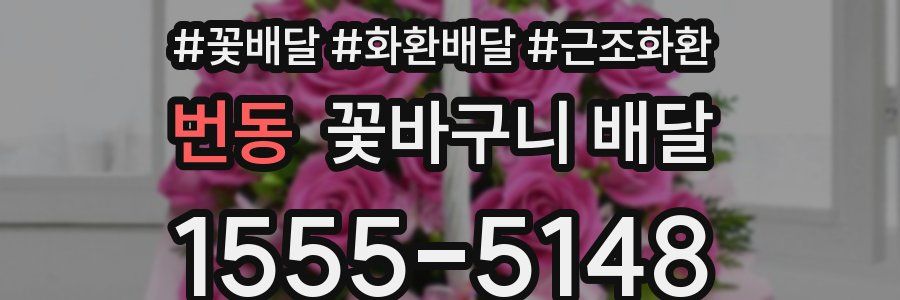 번동 꽃바구니 배달