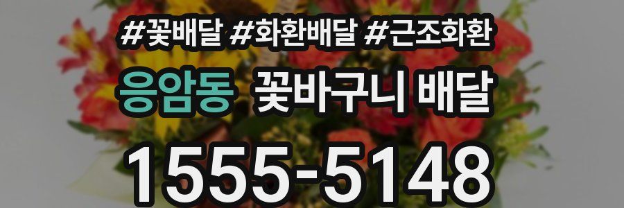 응암동 꽃바구니 배달